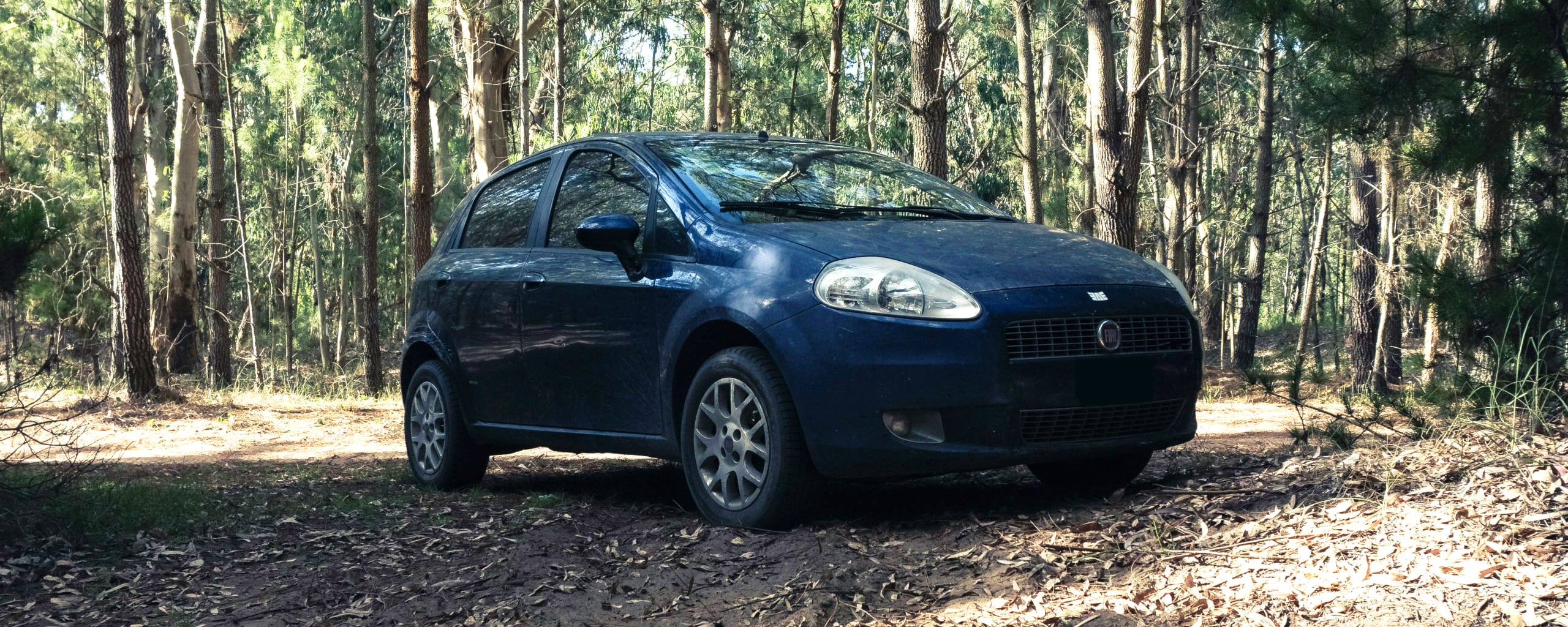 Fiat Repair and Service near Ashland & Orwigsburg, PA